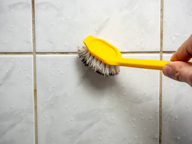 Best Office Mold Removal Services  in Sedgwick, KS