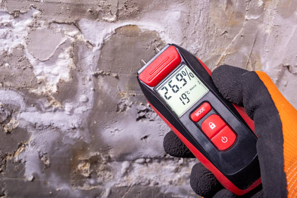 Best Mold Cleaning Services  in Sedgwick, KS
